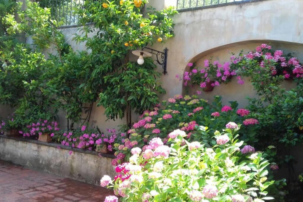 Apartment In Luxuryproperty Privatepool Garden Bbq Airc X8 카스텔누오보 디 포르토 외부 사진